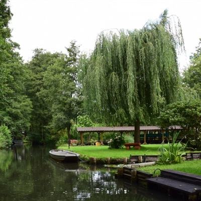 能下单的足彩app